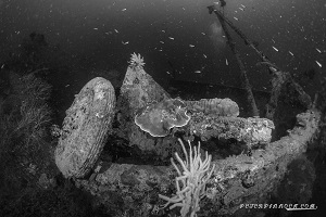 Best Dive Sites in the Solomon Islands - WW2 Wreck